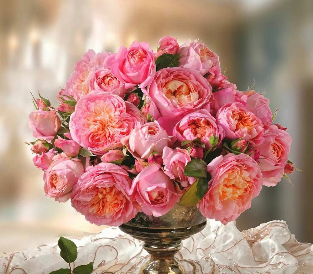 'Dames de Chenonceau' Climbing Rose
