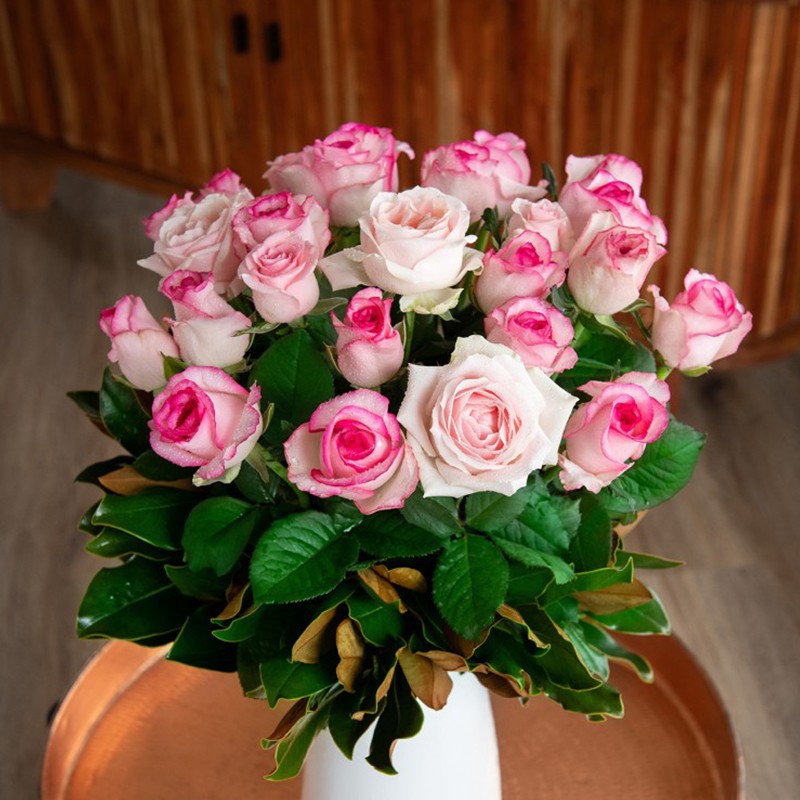 'Bella Vita' Shrub Rose