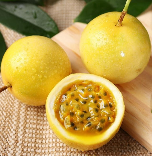 Qinmi No. 9 Golden Passion Fruit Vine