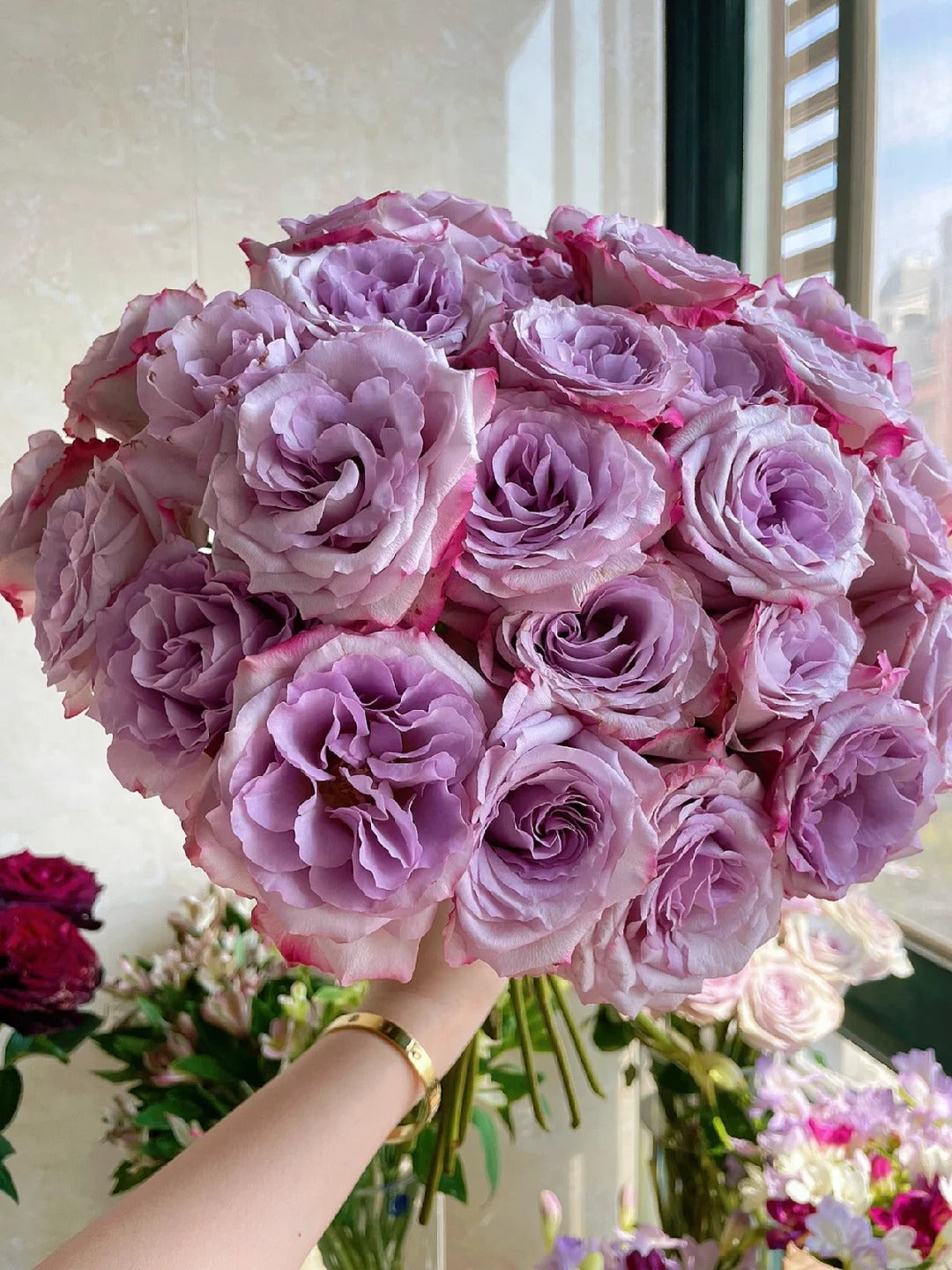 'Glamorous' Shrub Rose