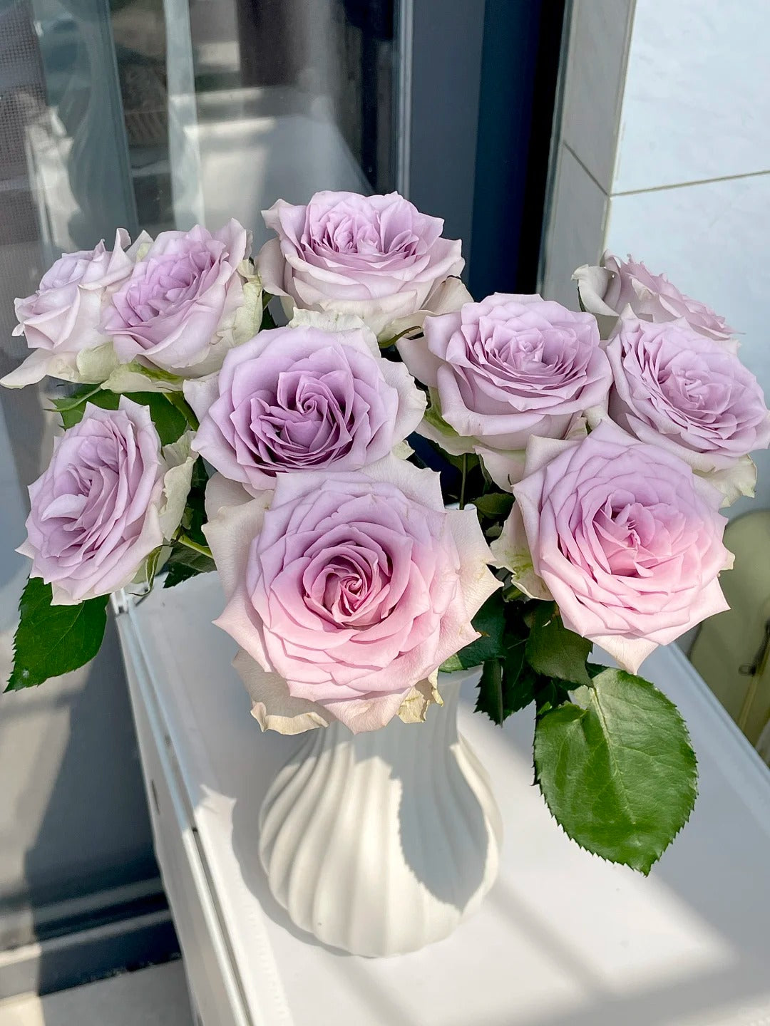 'Fifth Avenue' Shrub Rose
