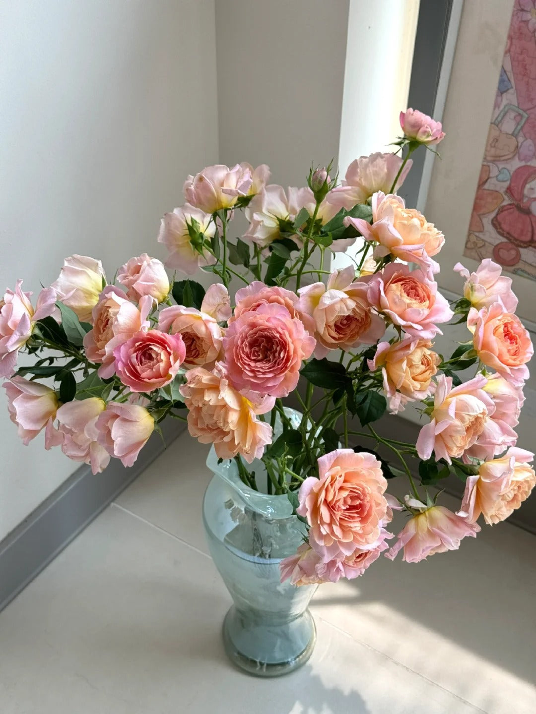 'Zhiqiu' Shrub Rose