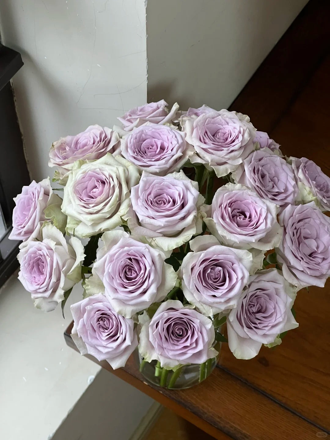 'Fifth Avenue' Shrub Rose